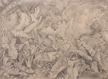Ross Eugene Braught, "Tannias", graphite, 1941