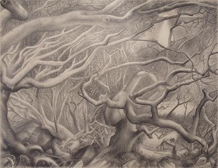 Ross Eugene Braught, "Northern Wind, Marina Cay", graphite, 1942