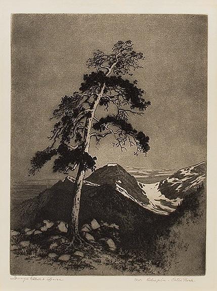 George Elbert Burr, "Mt. Chapin - Estes Park", etching, c. 1920