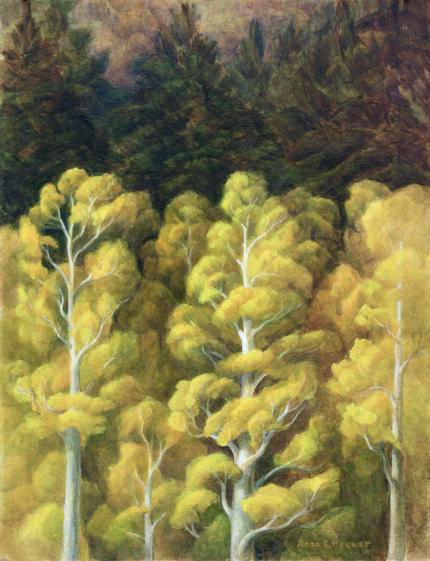Anna Elizabeth Keener, "Aspen and Spruce", oil painting for sale purchase consign auction art gallery denver colorado historical sandzen student