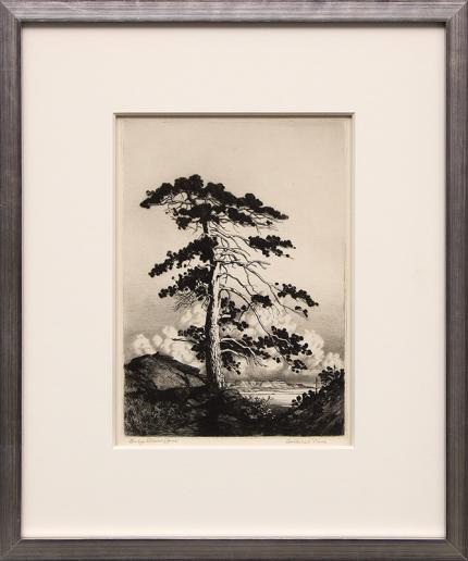 George Elbert Burr, "Sentinel Pine", etching, circa  1910 painting fine art for sale purchase buy sell auction consign denver colorado art gallery museum