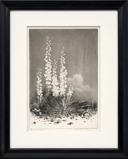 George Elbert Burr, "Soapweed, Arizona (no. 2); edition of 40 (from the Desert Set)", etching, circa 1924 painting fine art for sale purchase buy sell auction consign denver colorado art gallery museum   