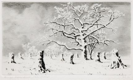 George Elbert Burr, "Cornfields, Winter", etching drypoint original signed vintage painting fine art for sale purchase buy sell auction consign denver colorado art gallery museum   