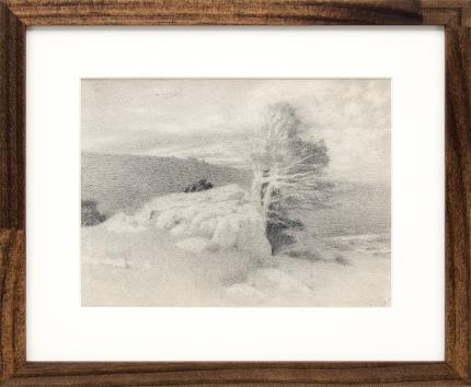 Charles Partridge Adams, vintage landscape drawing for sale, Wind Blown Pine and Rocks, Mountain Landscape, graphite, early 20th century, circa 1910, black, white, gray, brown frame