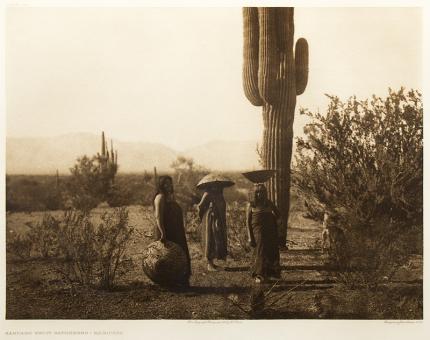 Edward Sheriff Curtis, "Saguaro Fruit Gatherers- Maricopa, Portfolio #2, Plate #69", photogravure, 1907