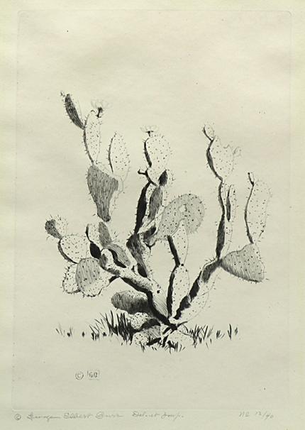 George Elbert Burr, Prickly Pear Cactus , Desert Set, etching, circa 1921, engraving, fine art, for sale, denver, gallery, colorado, antique, buy, purchase