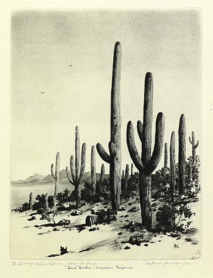George Elbert Burr, Giant Cactus, Tucson, Arizona  , Desert Set, etching, circa 1921, engraving, fine art, for sale, denver, gallery, colorado, antique, buy, purchase
