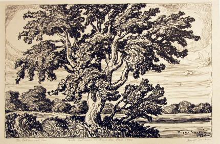 Sven Birger Sandzen, "The Cottonwood Tree, Edition of 100", lithograph, c. 1930