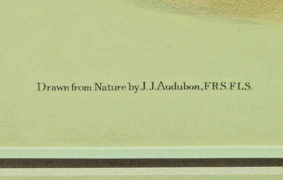 John James Audubon, 
