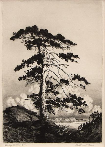 George Elbert Burr etcher printmaker american Mountain Moods Series
