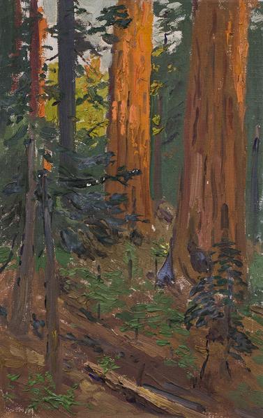 Charles Partridge Adams, Interior Forest Scene with Redwood Trees, California, oil painting