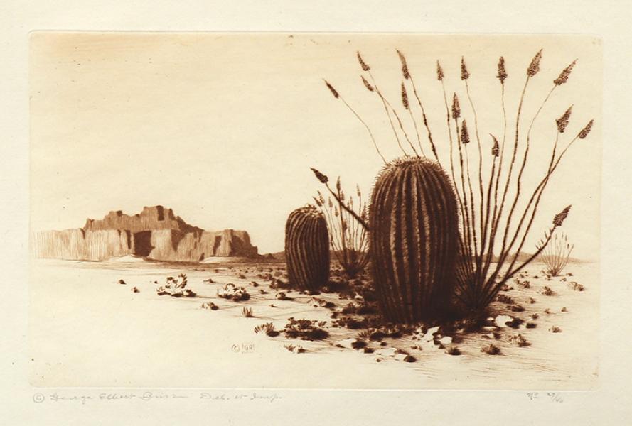 George Elbert Burr, Barrel Cactus , Arizona, Desert Set, etching, circa 1921, engraving, fine art, for sale, denver, gallery, colorado, antique, buy, purchase