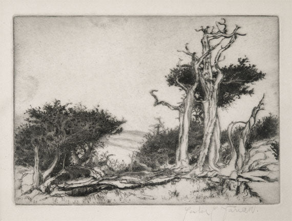 Lester Varian (1881-1967)