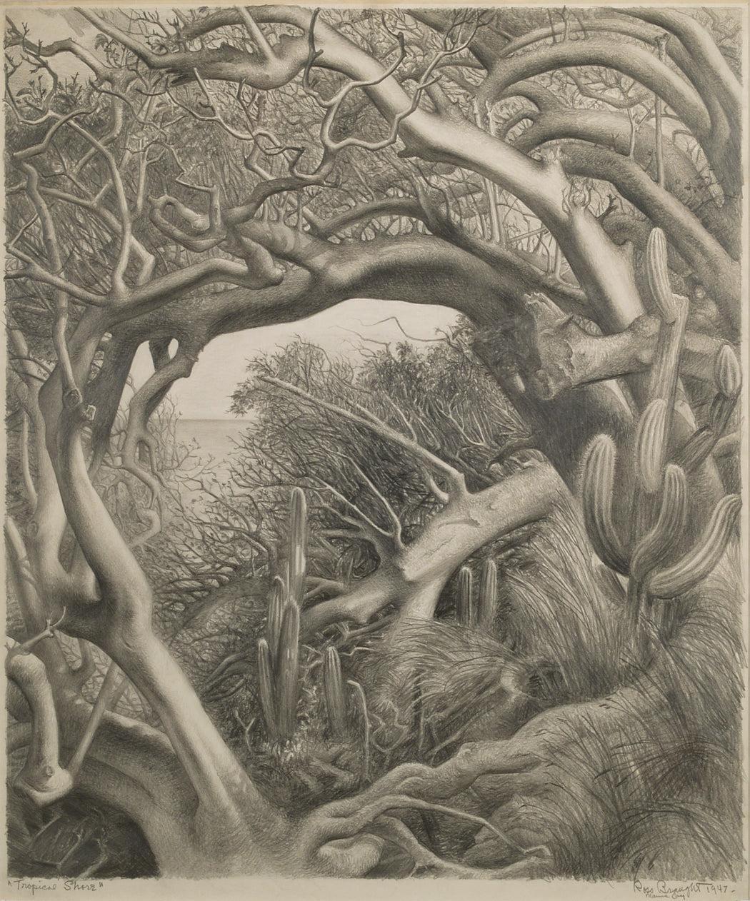 Drawings & Works on Paper – Cook Gallery | Historic Fine Art