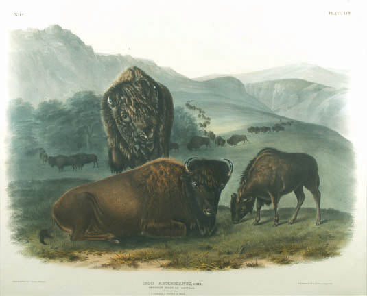 John Audubon (1785-1851)