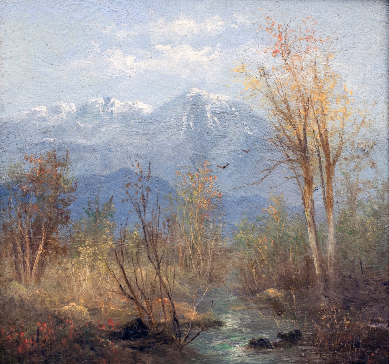 Harriet Freeman Wright (1852-1926)