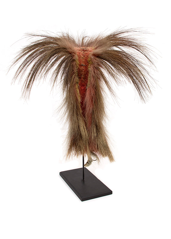 Roach (Headdress), circa 1880