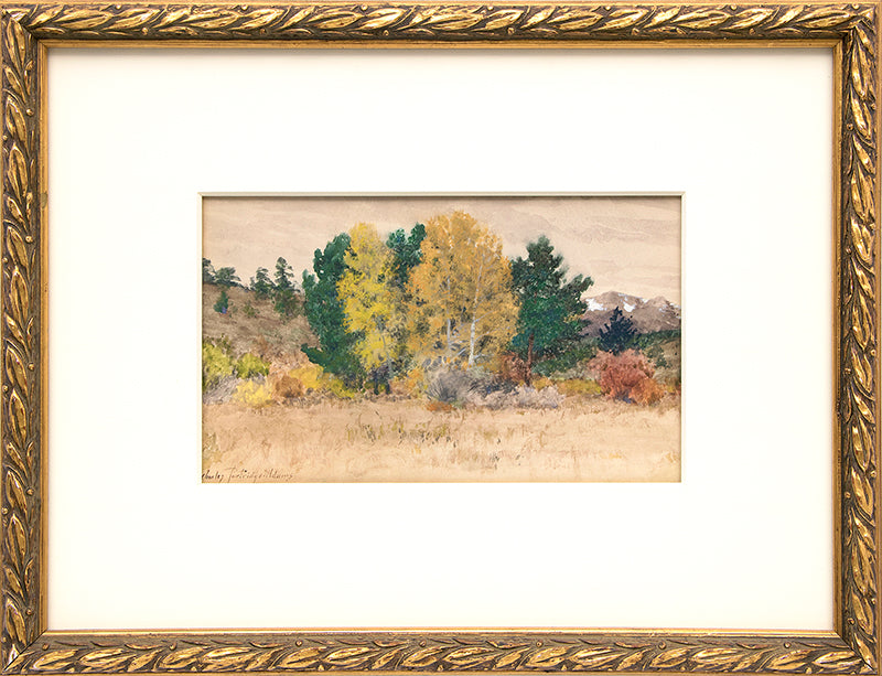 Untitled (Trees in Autumn, Colorado), Painting, circa 1900