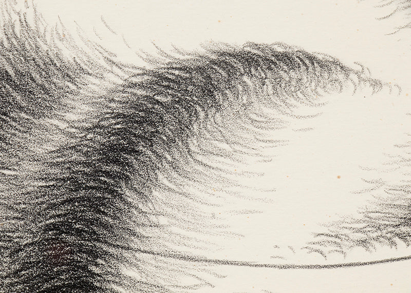 Convolution (Black and White Abstract), Print, 1948