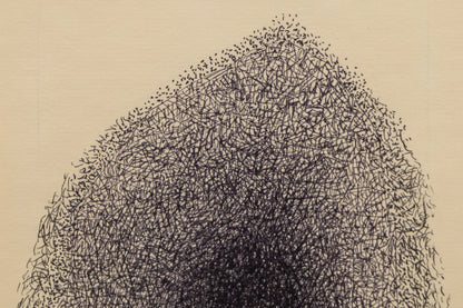 Hearts Obsidian (Mammoth Cave), Drawing