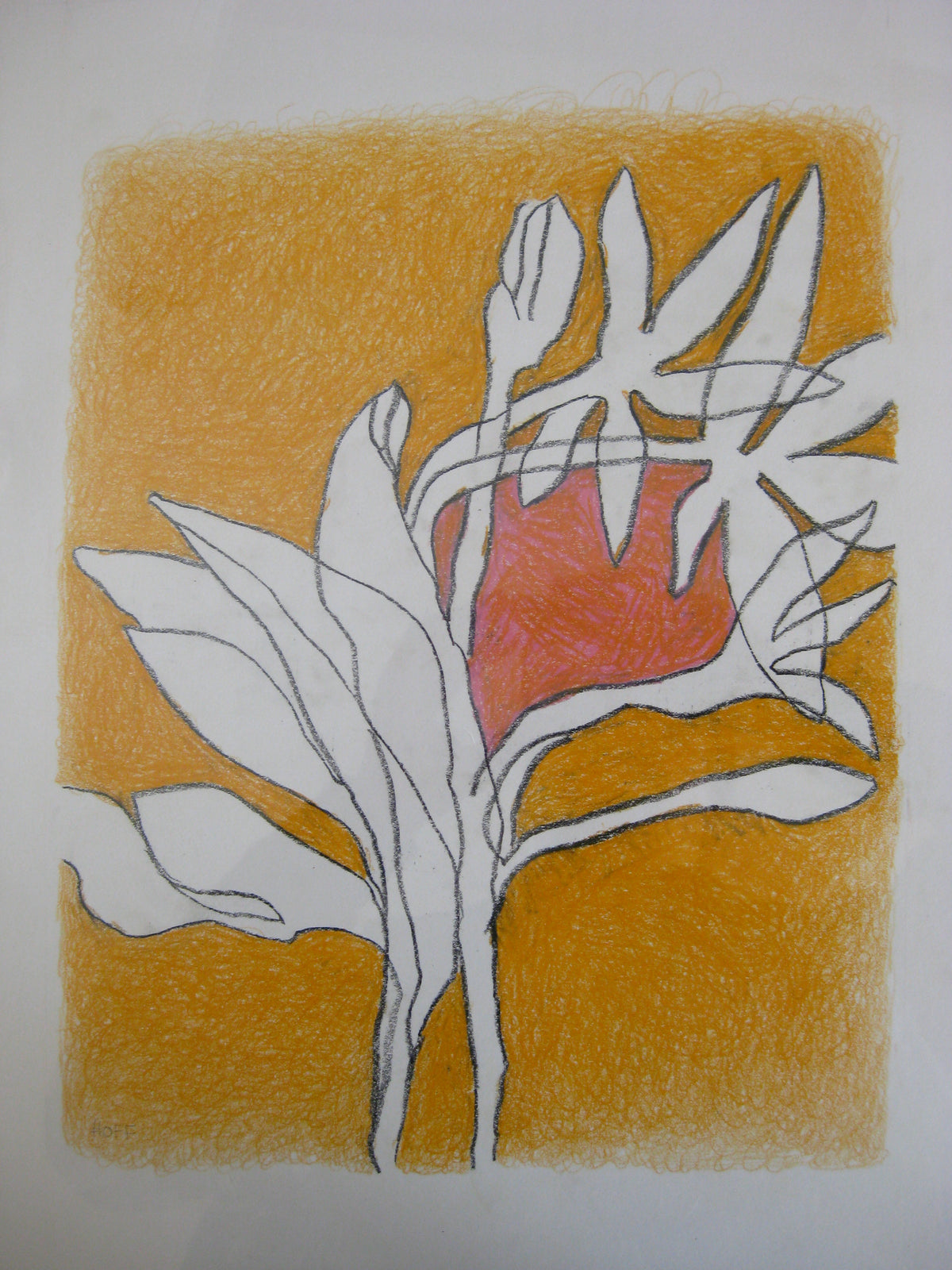 Orange Bloom (Crayon Rubbing Series), Drawing
