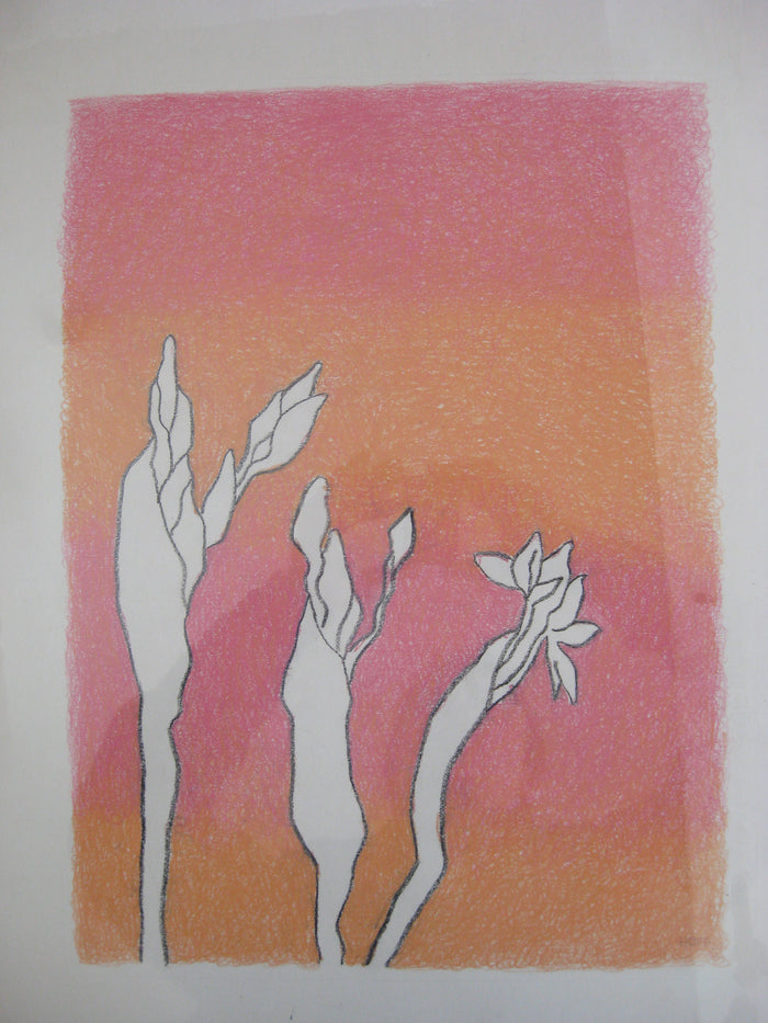 Buds - Pink (Crayon Rubbing Series), Drawing