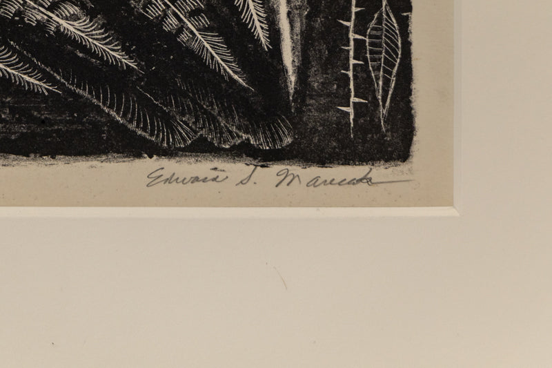 Gooney Birds (Two Birds), Print, circa 1940-1970