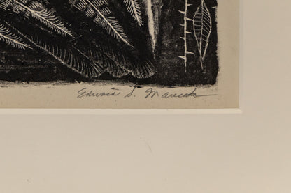 Gooney Birds (Two Birds), Print, circa 1940-1970