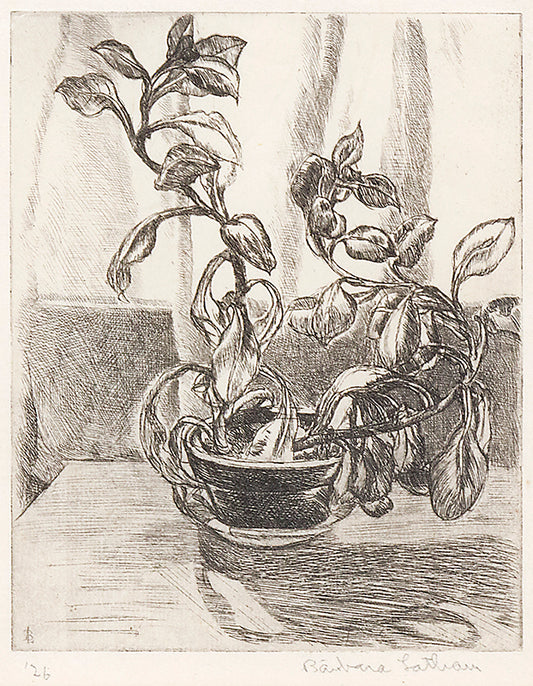 Barbara Latham (1896-1989) artwork for sale. Untitled (Still Life), Print, 1926, Denver, Colorado, Art Gallery)