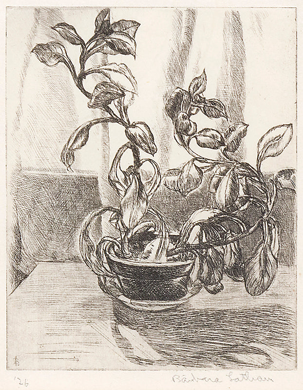 Untitled (Still Life), Print, 1926