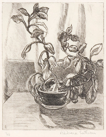 Untitled (Still Life), Print, 1926