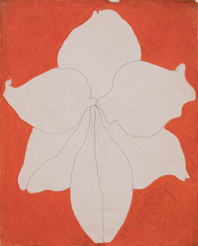 #14 (Bulb Series), Drawing