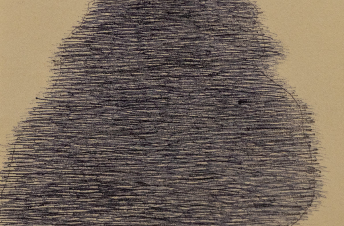Tree Shadow, Drawing
