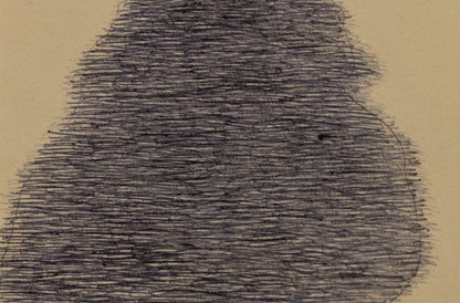 Tree Shadow, Drawing