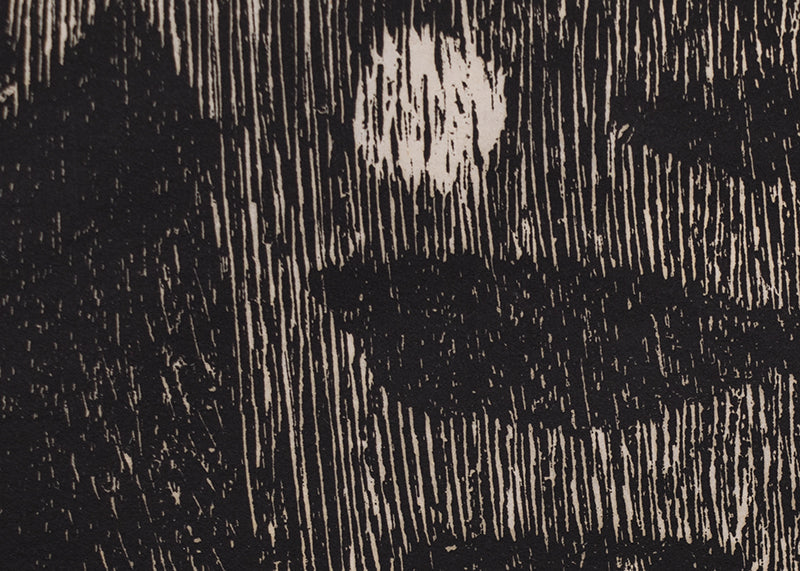 Woodcocks, Print