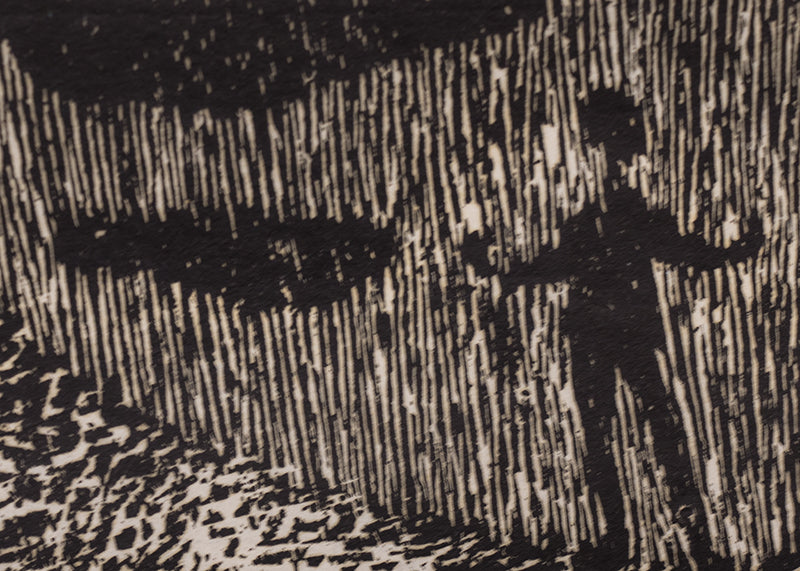 Untitled (Woodcocks), Print