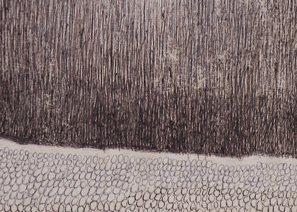 High Wire, Drawing