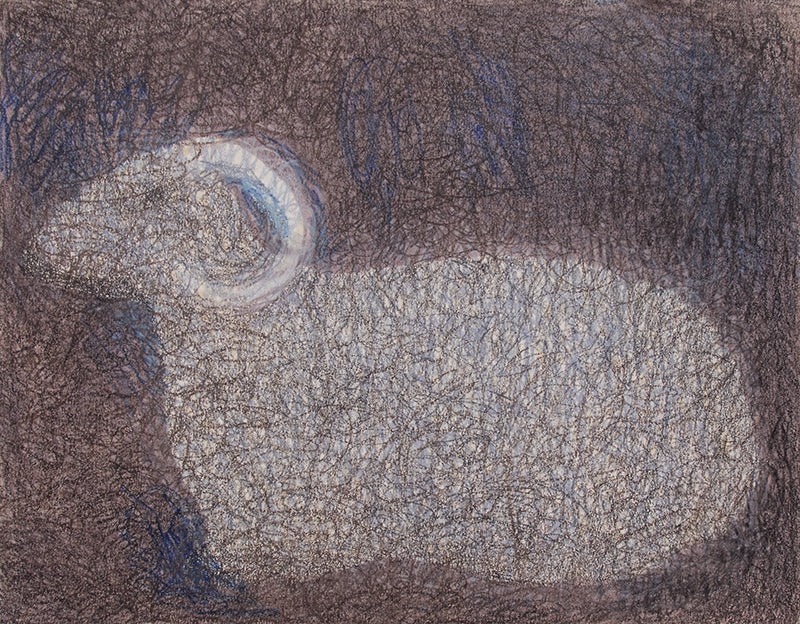 Untitled (Ram), Drawing