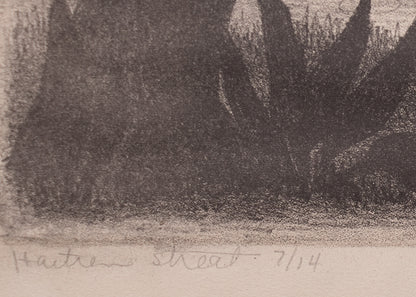 Haitian Street 7/14, Print
