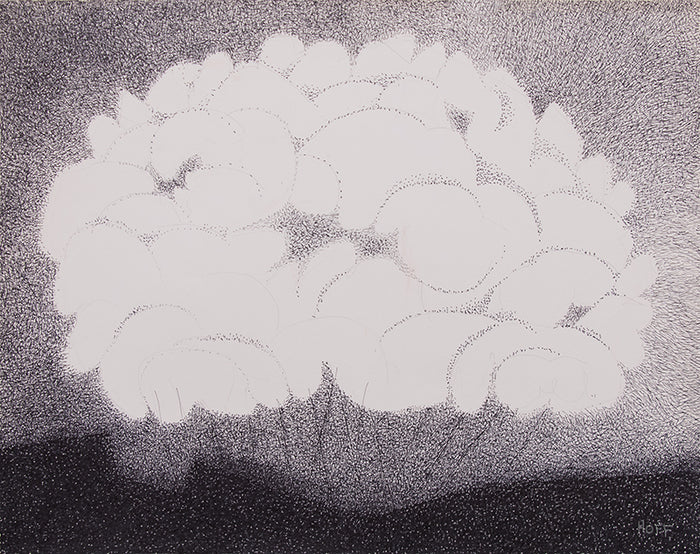 Smoke Bush, Drawing