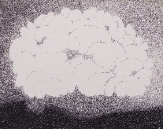 Smoke Bush, Drawing