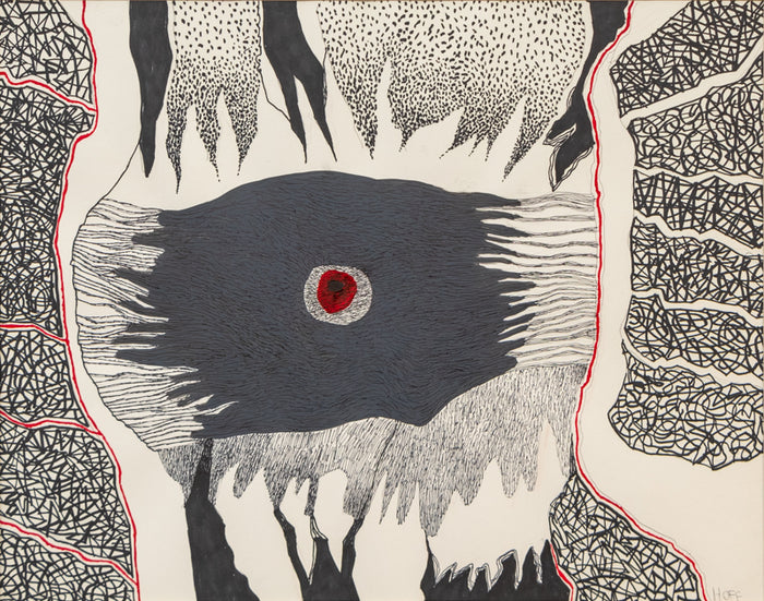 Wood Tick, Drawing