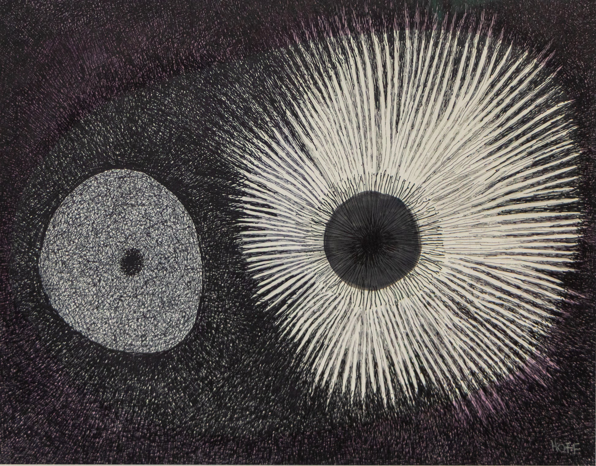 Margo Hoff (1910-2008) artwork for sale. Sea Urchin, Drawing, Denver, Colorado, Art Gallery)