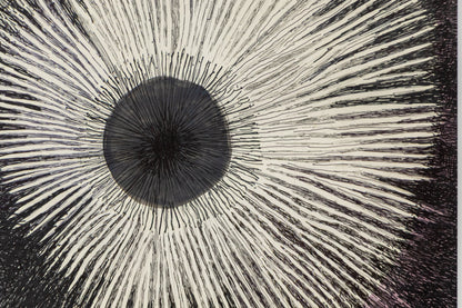 Sea Urchin, Drawing