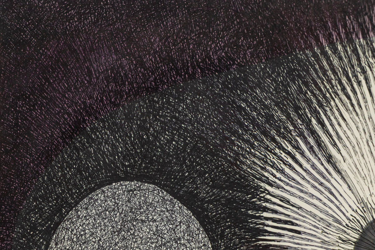 Sea Urchin, Drawing