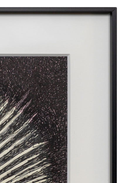 Sea Urchin, Drawing