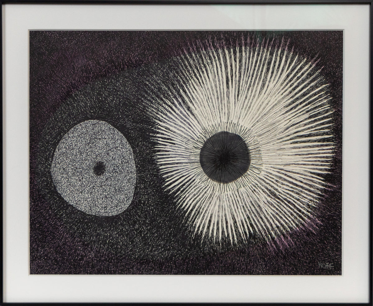 Sea Urchin, Drawing