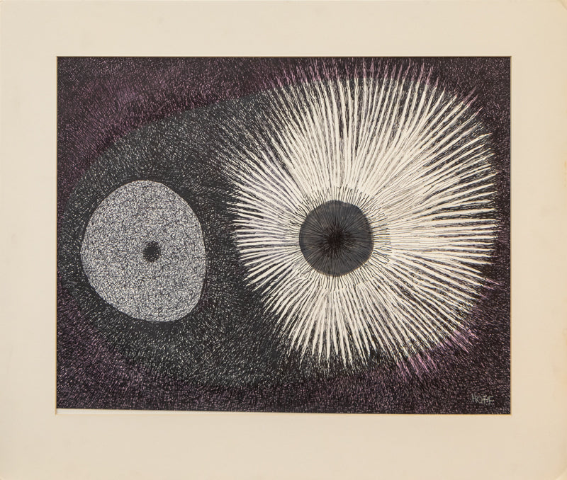 Sea Urchin, Drawing