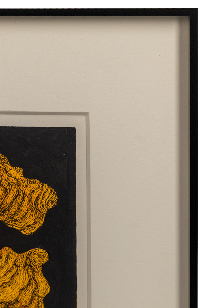 Ginger Root (Artist's Proof), Print, 1962