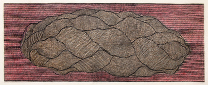 Braided Bread Loaf, Drawing